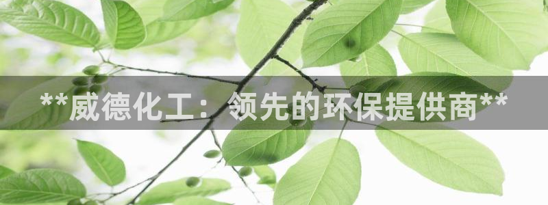 亿万先生客户端官网登录入口：**威德化工：领先的环保提供商**