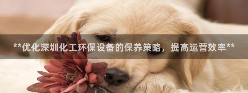 亿万国际：**优化深圳化工环保设备的保养策略，提高运营效率**