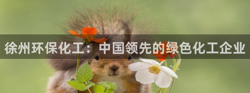 亿万小说免费阅读全文：徐州环保化工：中国领先的绿色化工企业