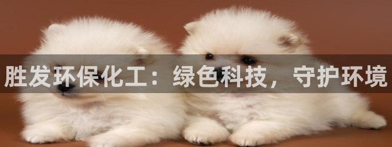 亿万先生m007：胜发环保化工：绿色科技，守护环境