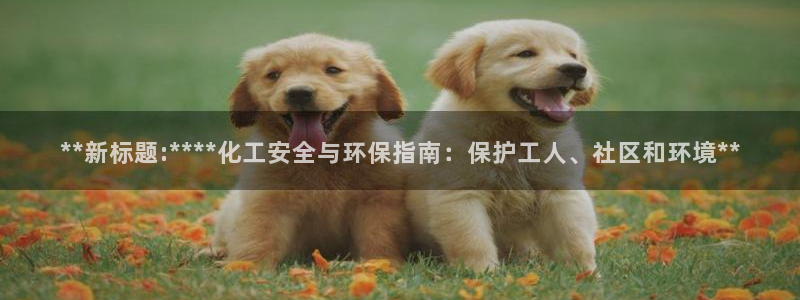 亿万红包版下载正版：**新标题:****化工安全与环保指南：保护工人、社区和环境**