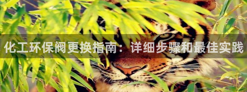 亿万先生合并网址是什么：化工环保阀更换指南：详细步骤和最佳实践