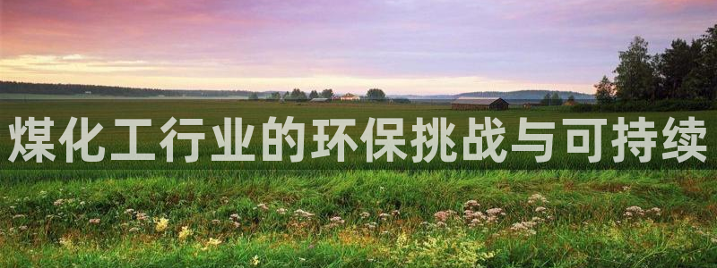 亿万先生情侣车有什么用：煤化工行业的环保挑战与可持续