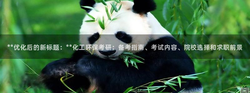 亿万番外：**优化后的新标题：**化工环保考研：备考指南、考试内容、院校选择和求职前景