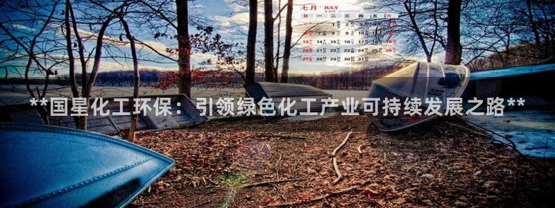亿万先生下载网址app：**国星化工环保：引领绿色化工产业可持续发展之路**