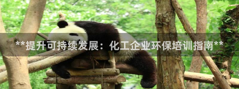 亿万先生官方客服电话：**提升可持续发展：化工企业环保培训指南**
