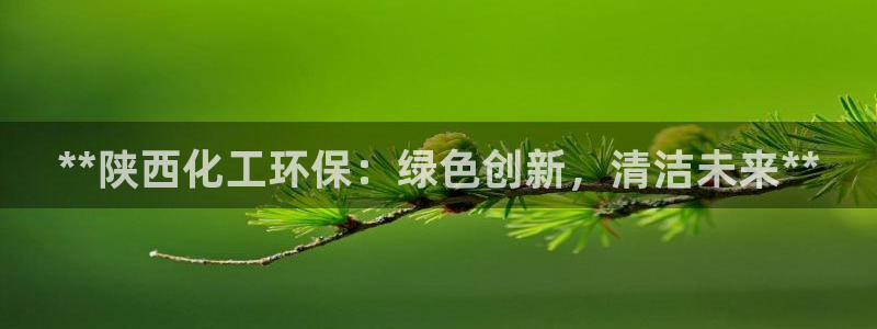 亿万先生手机网页：**陕西化工环保：绿色创新，清洁未来**