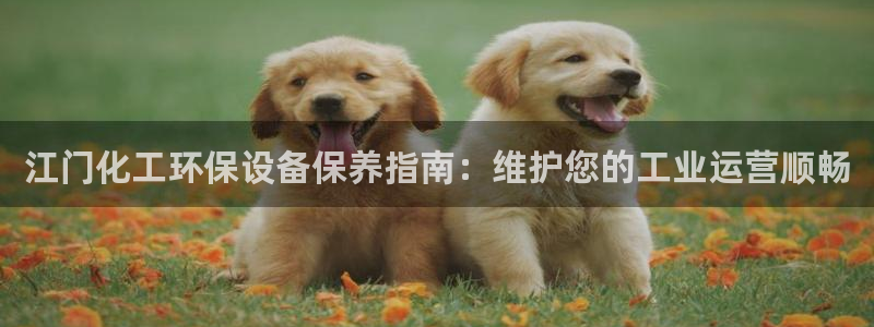 亿万剧情简介：江门化工环保设备保养指南：维护您的工业运营顺畅