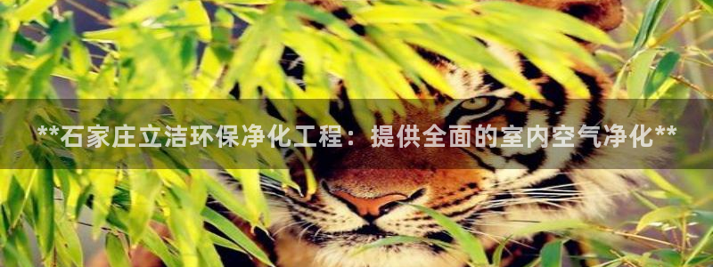 亿万先生首页：**石家庄立洁环保净化工程：提供全面的室内空气净化**