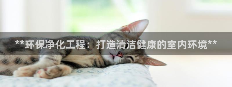 亿万官网字幕组官网下载：**环保净化工程：打造清洁健康的室内环境**