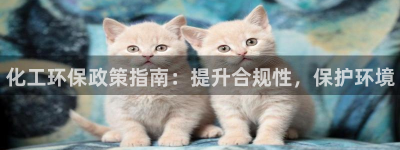亿万客户端：化工环保政策指南：提升合规性，保护环境
