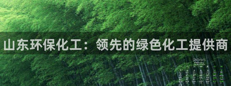 亿万先生客服联系方式是什么：山东环保化工：领先的绿色化工提供商