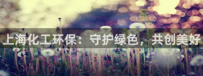 亿万钱包app下载：上海化工环保：守护绿色，共创美好