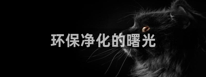 亿万先生官方网站客户端下载安装手机版：环保净化的曙光