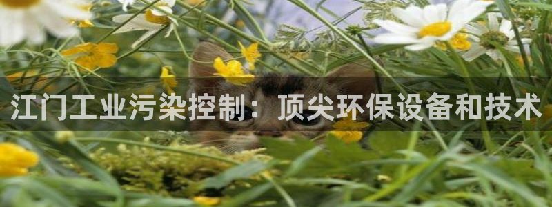 亿万先生 手机版下载安装：江门工业污染控制：顶尖环保设备和技术