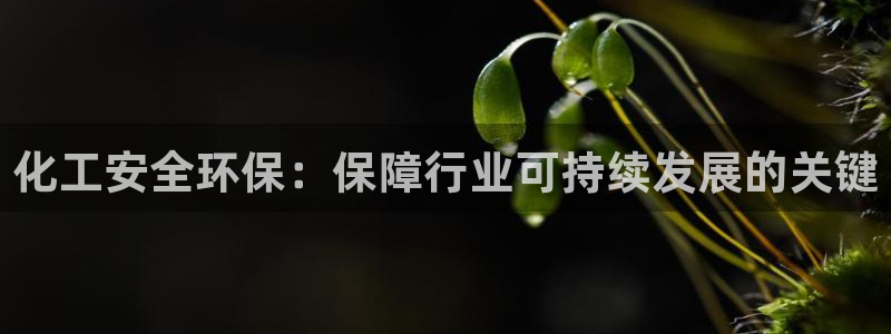 亿万先生客户端官网下载：化工安全环保：保障行业可持续发展的关键