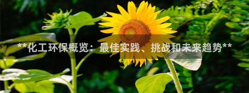 亿万先生合并网址在哪：**化工环保概览：最佳实践、挑战和未来趋势**