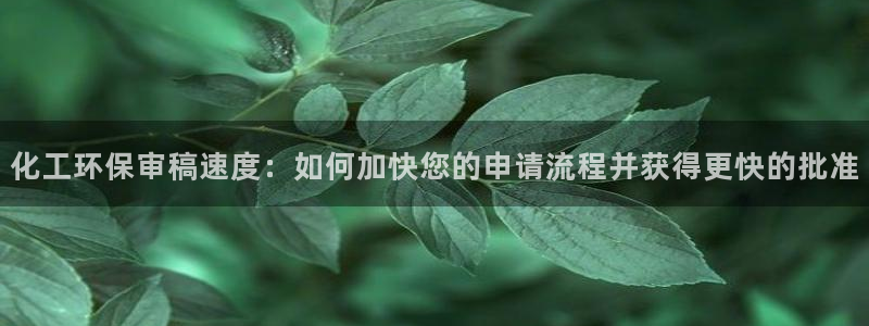 亿万网络科技有限公司：化工环保审稿速度：如何加快您的申请流程并获得更快的批准