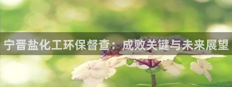 亿万先生官方网站客户端下载安装手机版：宁晋盐化工环保督查：成败关键与未来展望