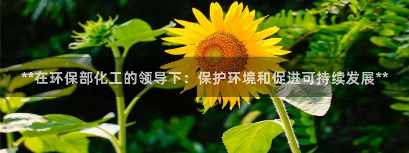 亿万同人字幕组微博的微博：**在环保部化工的领导下：保护环境和促进可持续发展**