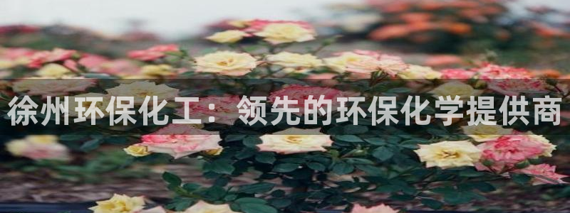 mr8001亿万先生在线存款：徐州环保化工：领先的环保化学提供商