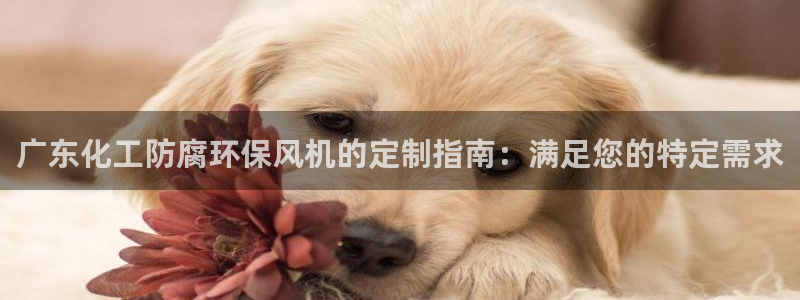 亿万番外：广东化工防腐环保风机的定制指南：满足您的特定需求
