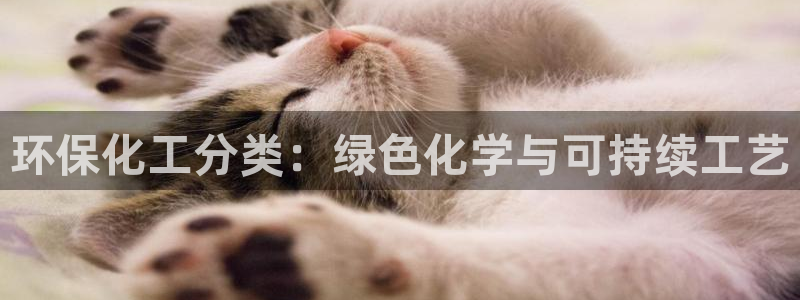 亿万先生合并：环保化工分类：绿色化学与可持续工艺