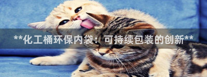 亿万钱包app下载：**化工桶环保内袋：可持续包装的创新**