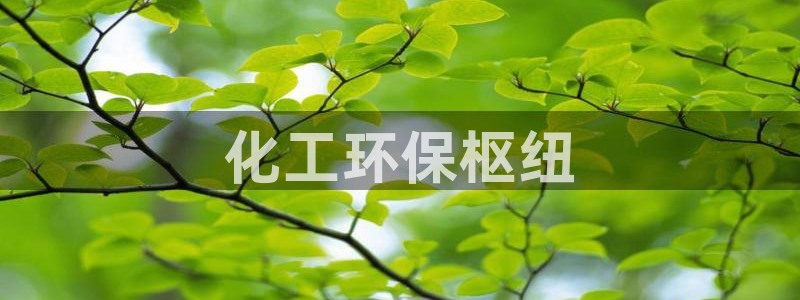 亿万网友在线解答：化工环保枢纽