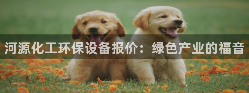 亿万先生合并网址：河源化工环保设备报价：绿色产业的福音