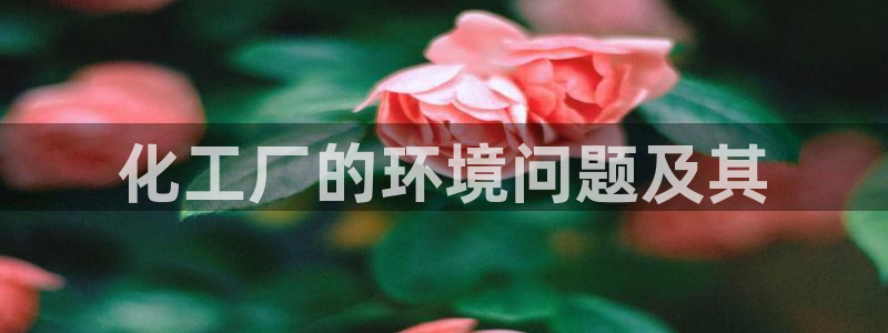 亿万贴吧：化工厂的环境问题及其