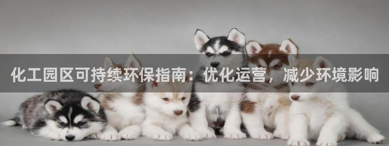 亿万先生客户端官网登录：化工园区可持续环保指南：优化运营，减少环境影响