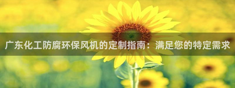 亿万先生mr：广东化工防腐环保风机的定制指南：满足您的特定需求