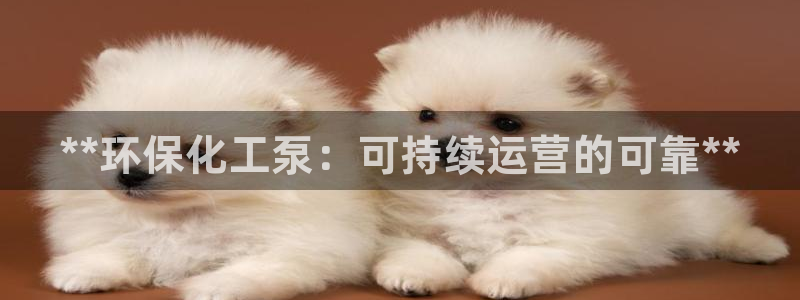 亿万手游平台官网：**环保化工泵：可持续运营的可靠**