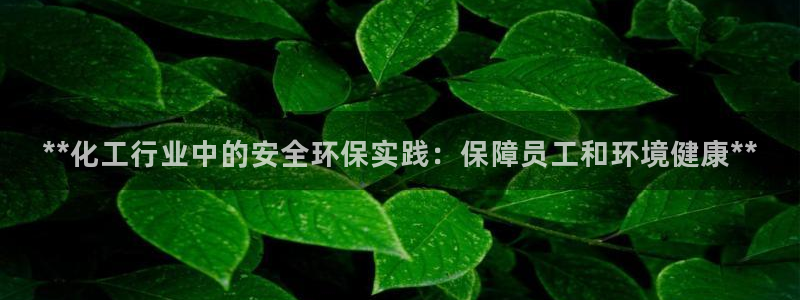 亿万第一季字幕：**化工行业中的安全环保实践：保障员工和环境健康**