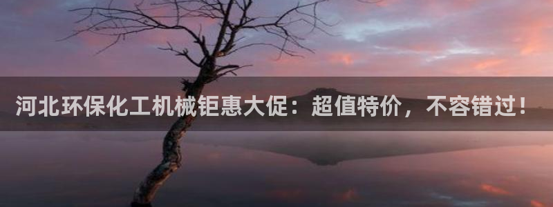 亿万先生007网页登录不了：河北环保化工机械钜惠大促：超值特价，不容错过！
