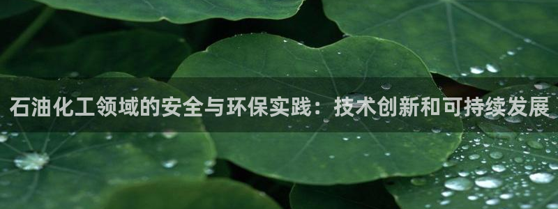 亿万同人字幕组的个人主页：石油化工领域的安全与环保实践：技术创新和可持续发展