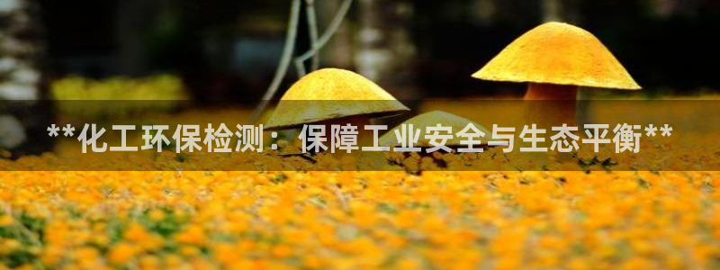亿万先生mr07：**化工环保检测：保障工业安全与生态平衡**