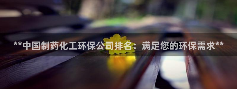 亿万先生网红：**中国制药化工环保公司排名：满足您的环保需求**