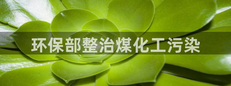亿万先生客户端官网登录：环保部整治煤化工污染