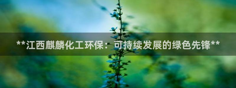 亿万官网：**江西麒麟化工环保：可持续发展的绿色先锋**