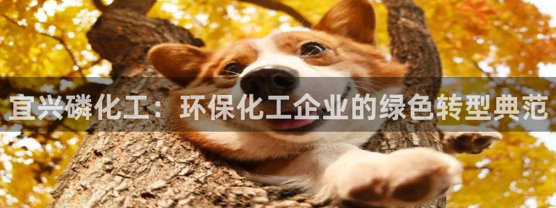 亿万先生手机版入口在哪看：宜兴磷化工：环保化工企业的绿色转型典范