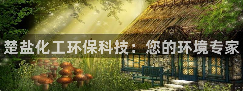 电影 亿万：楚盐化工环保科技：您的环境专家