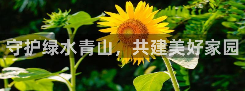 亿万先生网站下载：守护绿水青山，共建美好家园
