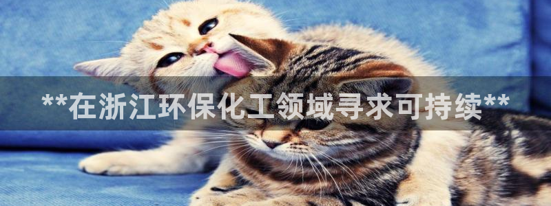 亿万先生客户端下载：**在浙江环保化工领域寻求可持续**