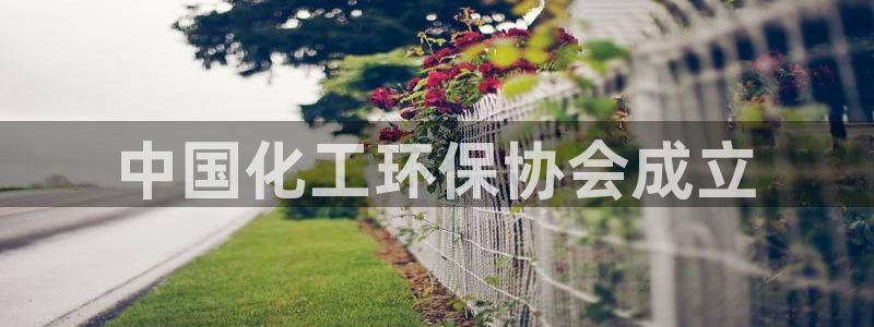 亿万百度百科：中国化工环保协会成立