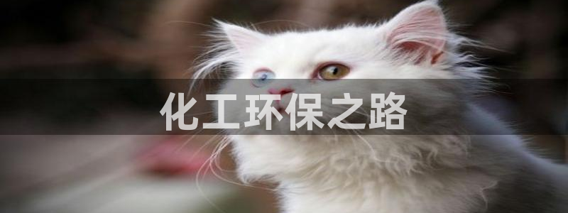亿万首富游戏破解版无限钻石：化工环保之路