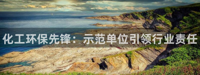 亿万先生：化工环保先锋：示范单位引领行业责任