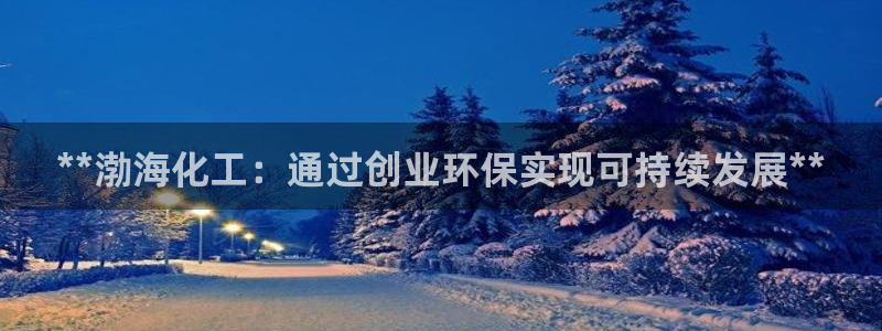 亿万视频：**渤海化工：通过创业环保实现可持续发展**