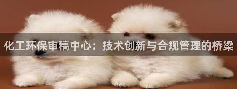 亿万网络：化工环保审稿中心：技术创新与合规管理的桥梁